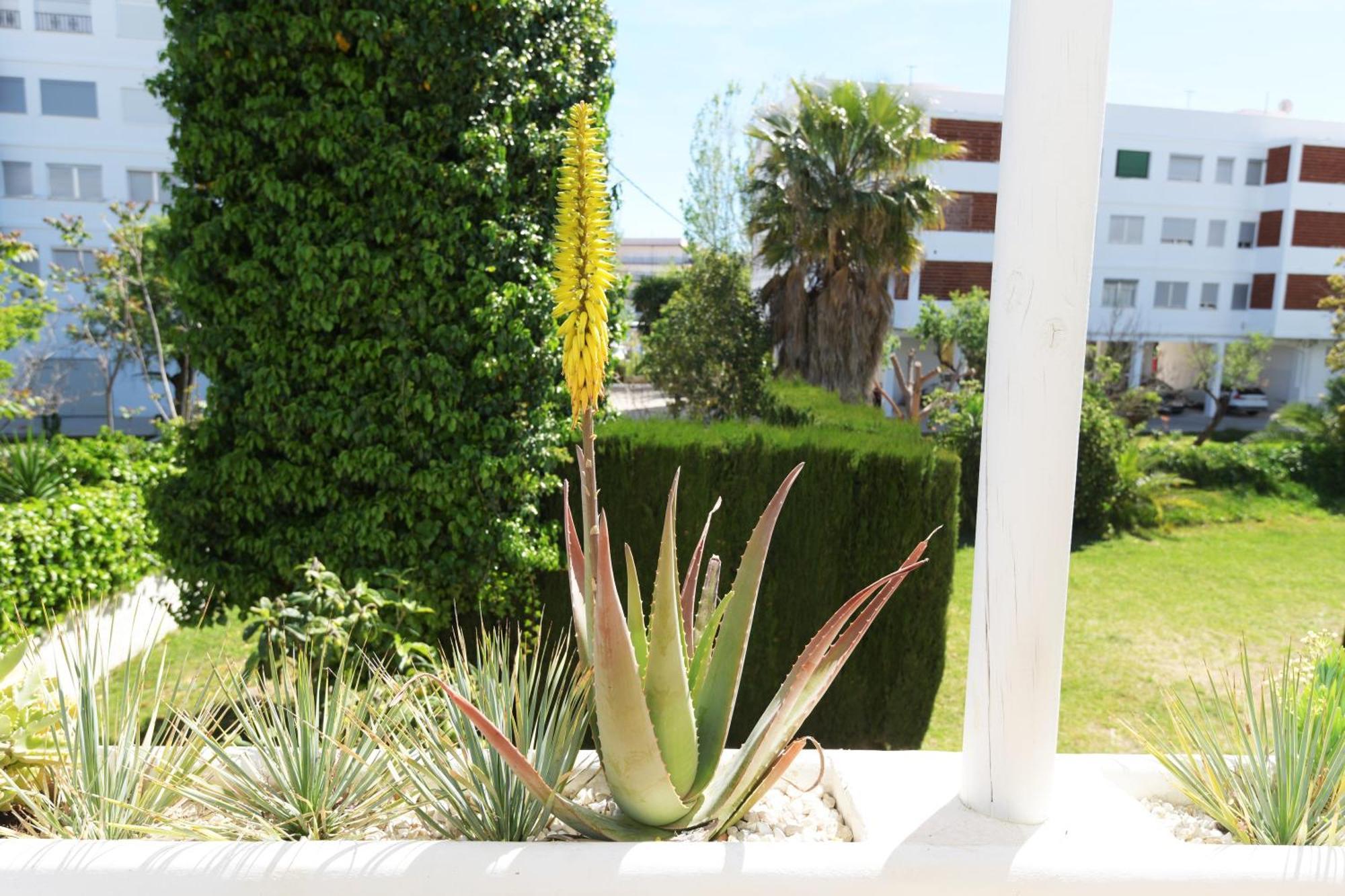 Stories Javea - Cosy Boho Apartment El Arenal - Toplocation - 250M From The Beach! Exterior photo
